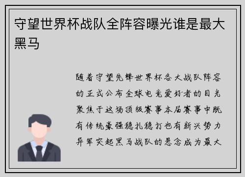 守望世界杯战队全阵容曝光谁是最大黑马