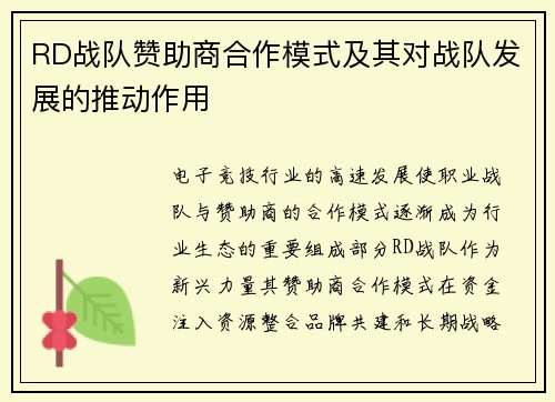 RD战队赞助商合作模式及其对战队发展的推动作用